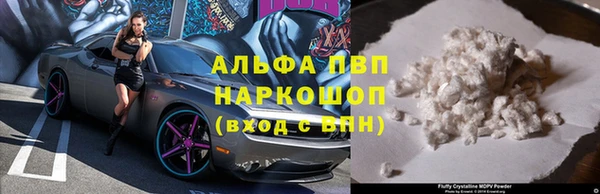 ECSTASY Белокуриха