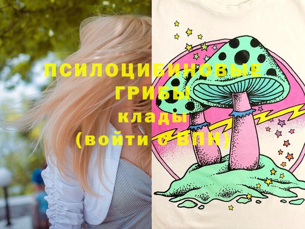 ECSTASY Белокуриха