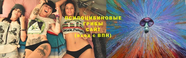 ECSTASY Белокуриха