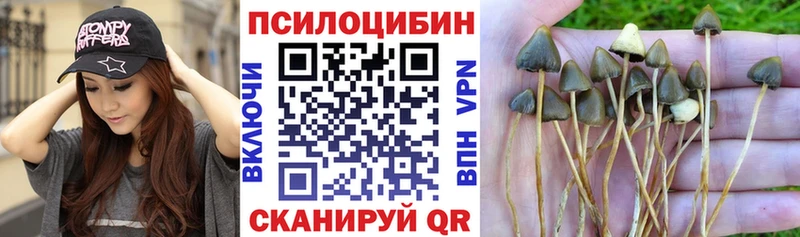Псилоцибиновые грибы Magic Shrooms Белокуриха